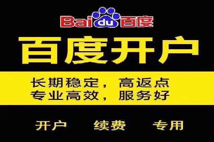 百度竞价代运营助力企业增长案例